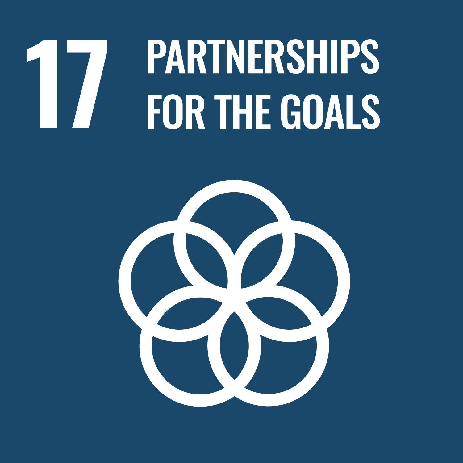 SDG 17 - Üzleti magatartás